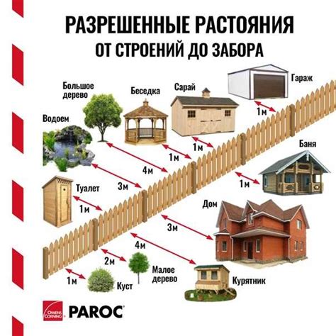  Легальные методы разрешения сложностей с соседским растением 