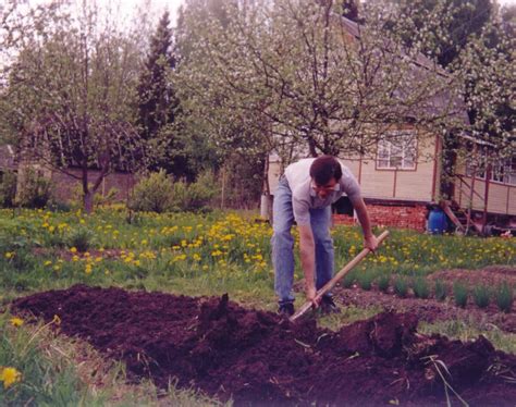  Работа на огороде: уроки выращивания собственной пищи 