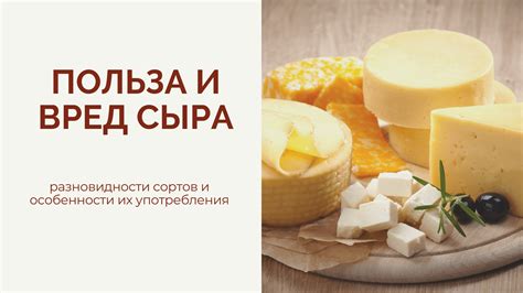  Разнообразие сортов сыра и их влияние на уровень переносимости лактозы 