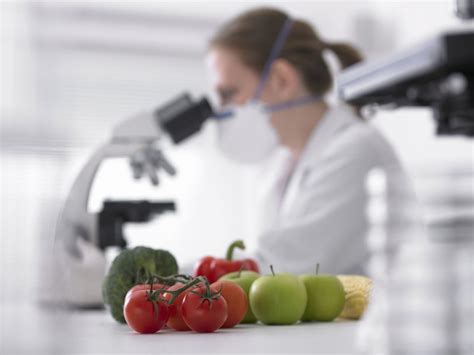  Современные испытания и опасности для пищевых цепей: какие факторы искажают естественное понимание о них 