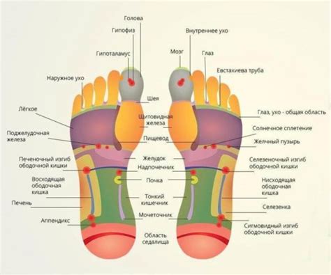  Точечный массаж активных точек на стопе 
