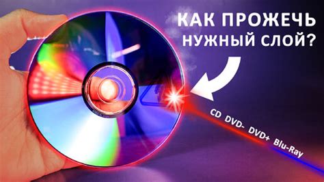 CD и CD-RW: различия по цене и применению